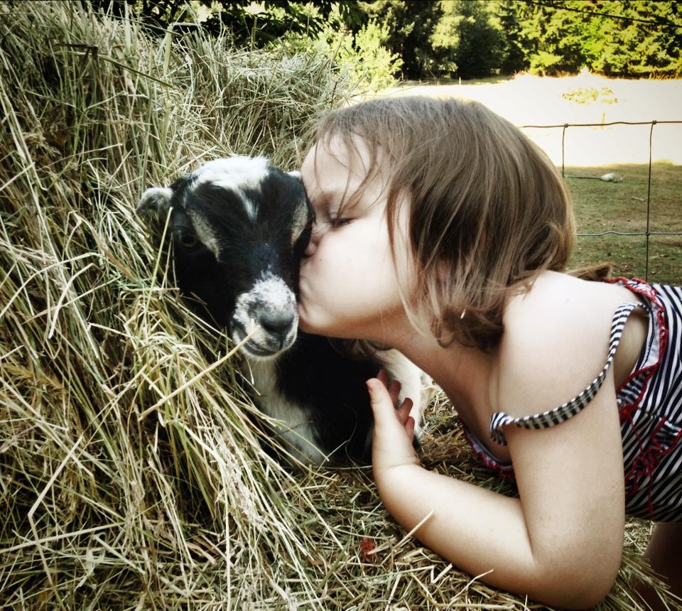 Clara kisses Rocky Road in a pile of hay.